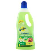 RAVVIVA DETERGENTE IGIENIZZANTE