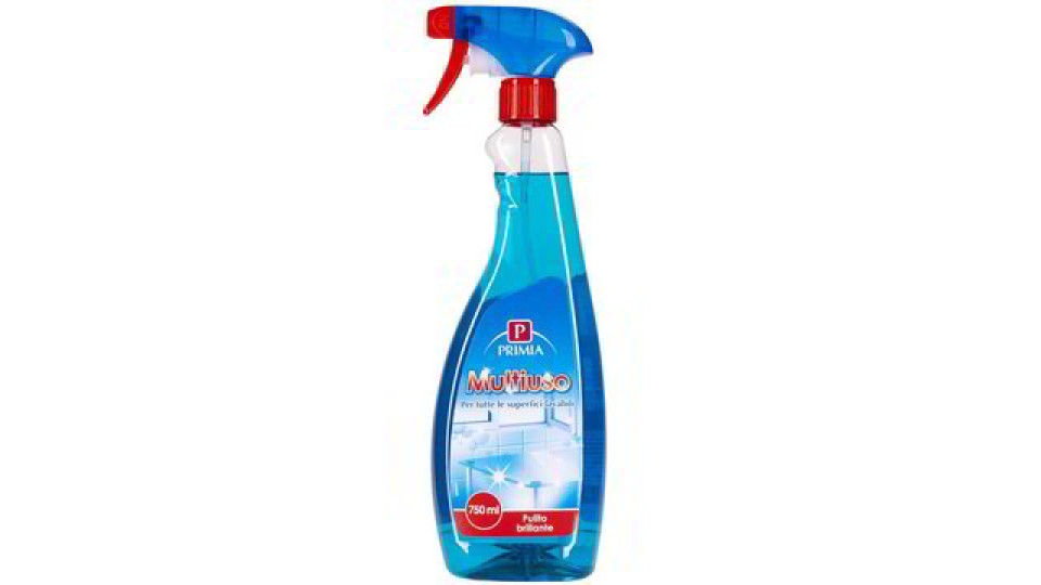 DETERGENTE MULTIUSO SPRAY