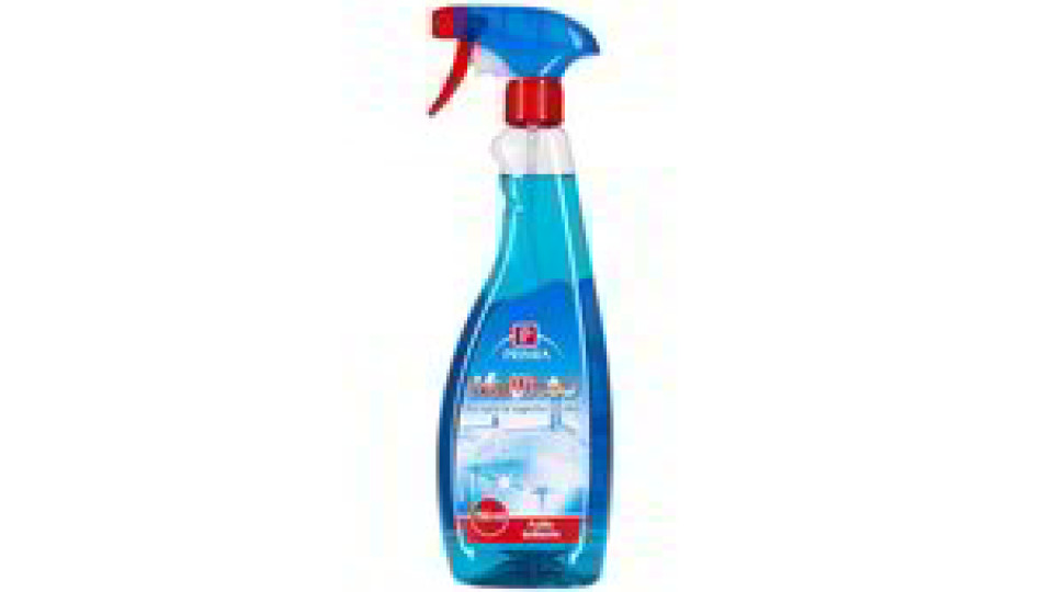 DETERGENTE MULTIUSO SPRAY