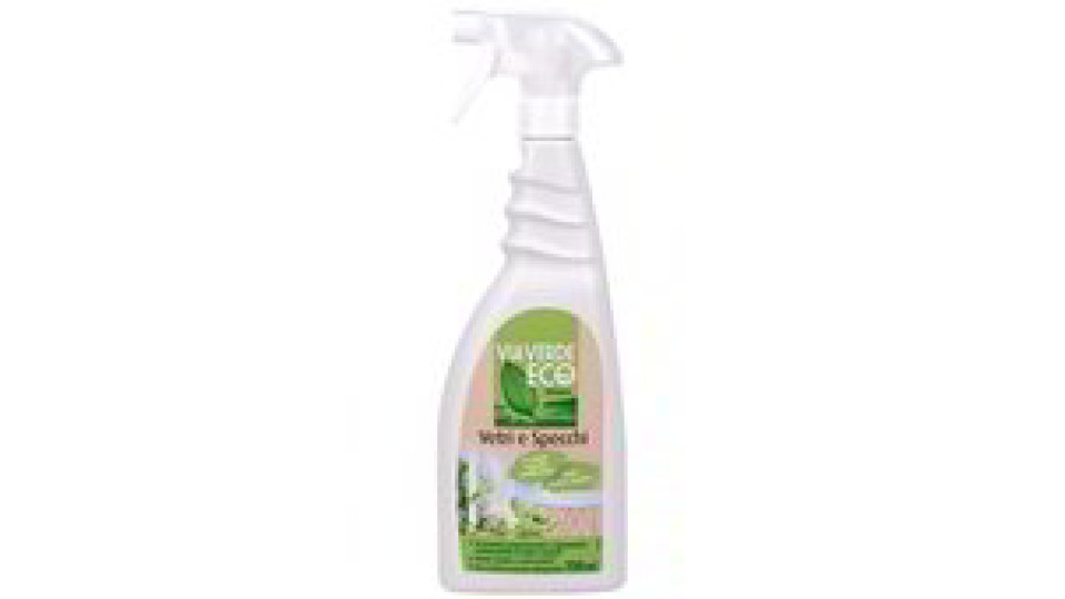 DETERGENTE VETRI E SPECCHI
