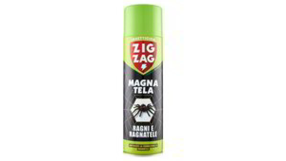 RAGNI E RAGNATELE
