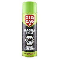 RAGNI E RAGNATELE
