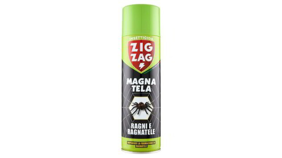 RAGNI E RAGNATELE