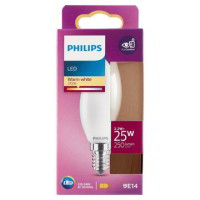 LAMPADINA LED CAND.VETR.25W E14