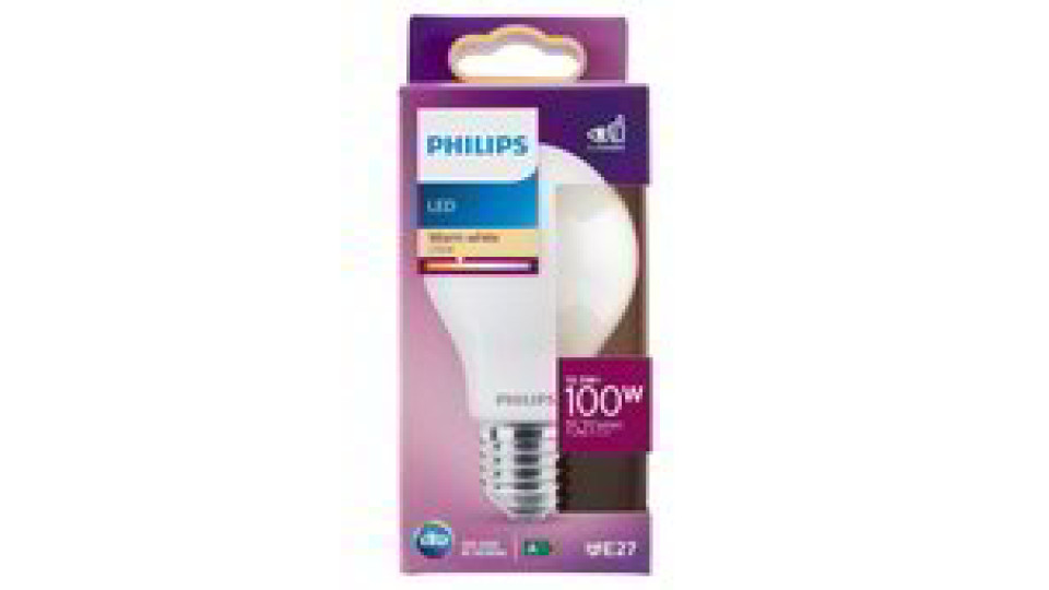 LAMPADINA LED GOCCIA 100W E27