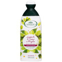 SHAMPOO FORTIFICANTE