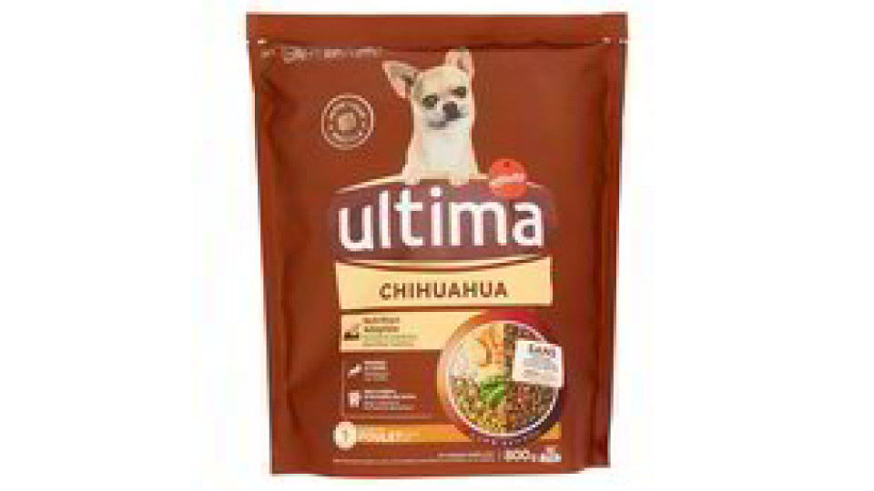 ALIM. SPECIAL CHIHUAHUA