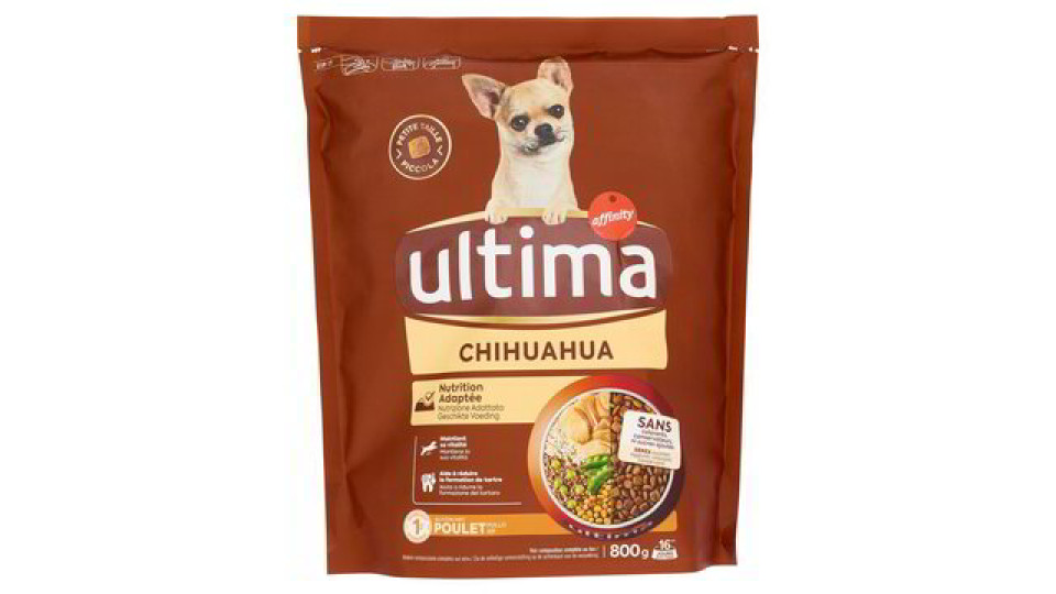 ALIM. SPECIAL CHIHUAHUA