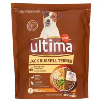 MINI JACK RUSSEL