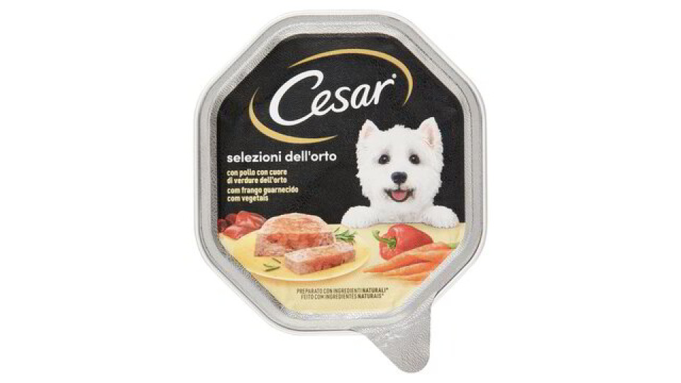 PATE' POLLO E CAROTINE
