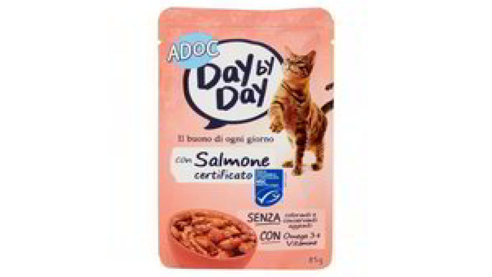 ALIMENTO GATTO SALMONE