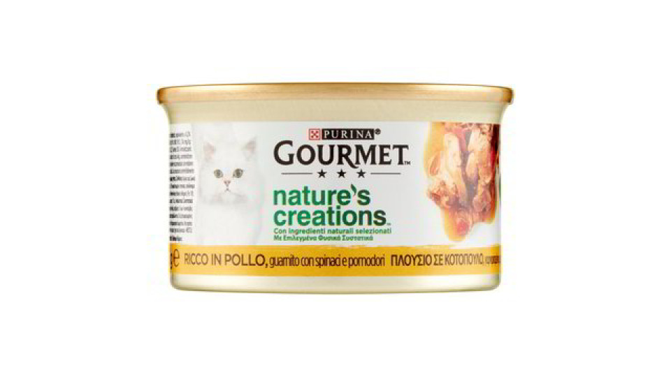 ALIMENTO PER GATTI CON POLLO