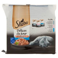 DDJ SELEZIONE DEL MARE IN SALSA