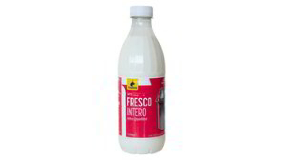 Latte fresco intero