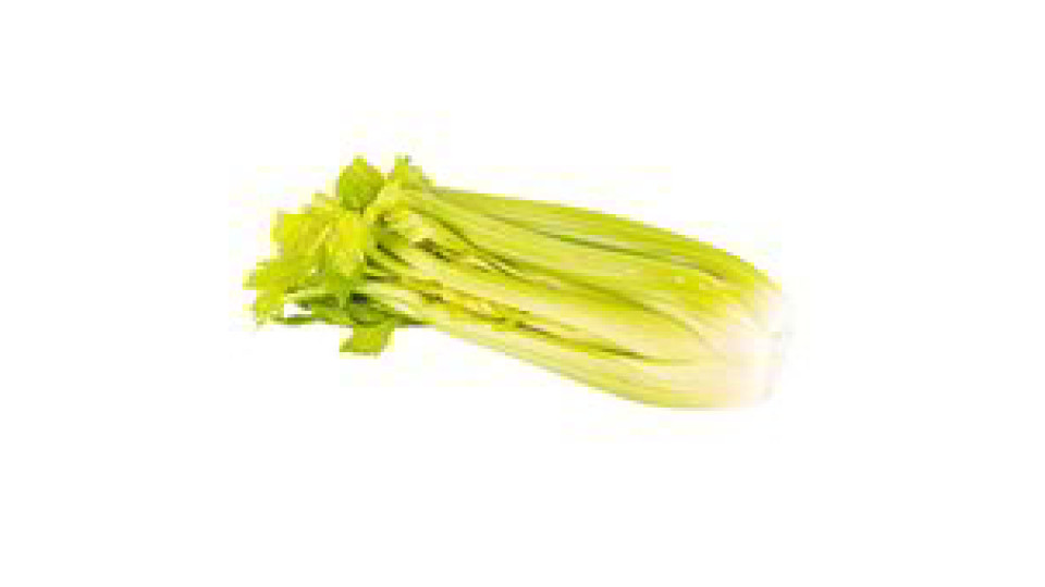 Sedano Verde