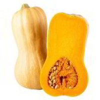 ZUCCA BUTTERNUT