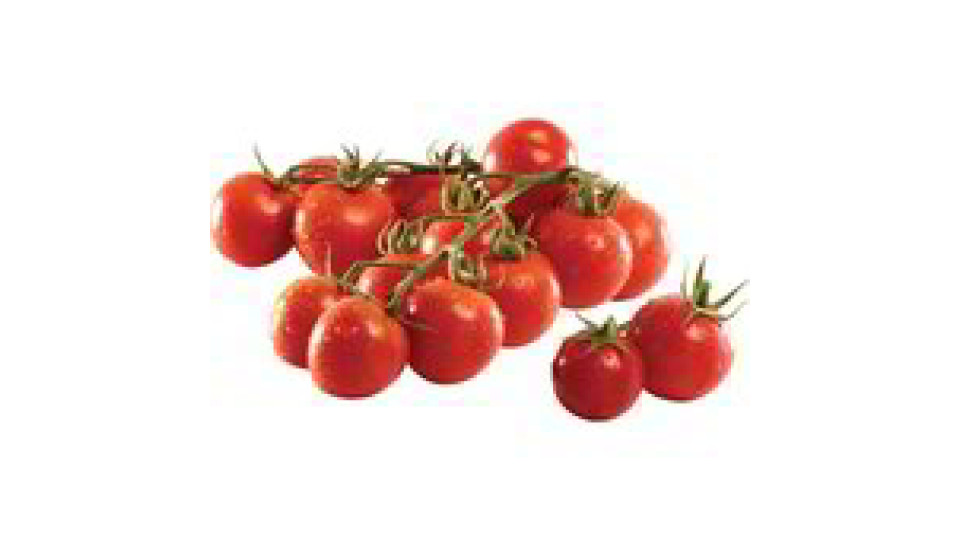 Pomodoro Ciliegino Premium