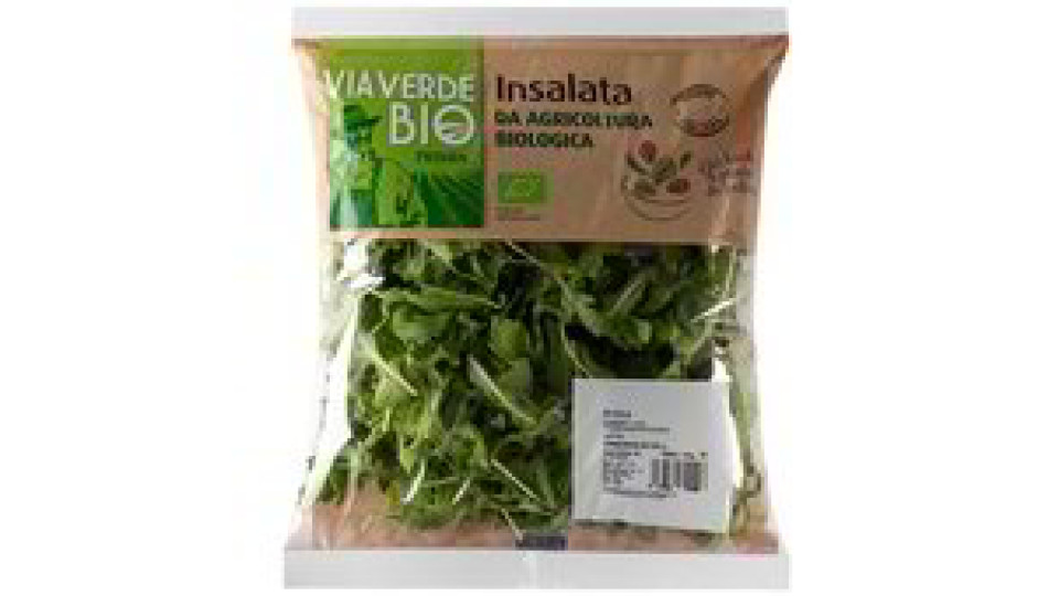 Rucola