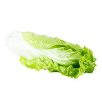 Radicchio Bianco