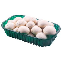 Champignon