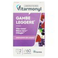 Laboratoires Vitarmonyl Vite Rossa Ribes Nero Gambe Leggere 60 Capsule