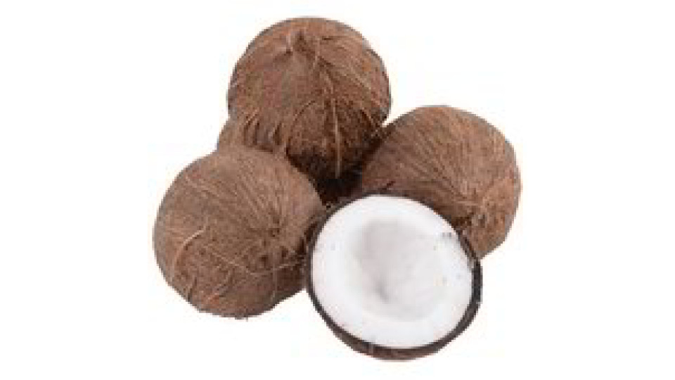Cocco