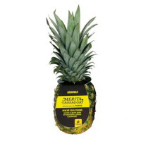 ANANAS GOLD SELECTION