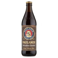 BIRRA BOTTIGLIA DUNKEL