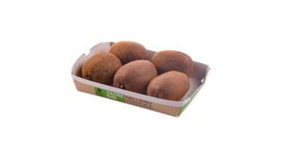 Kiwi Bio