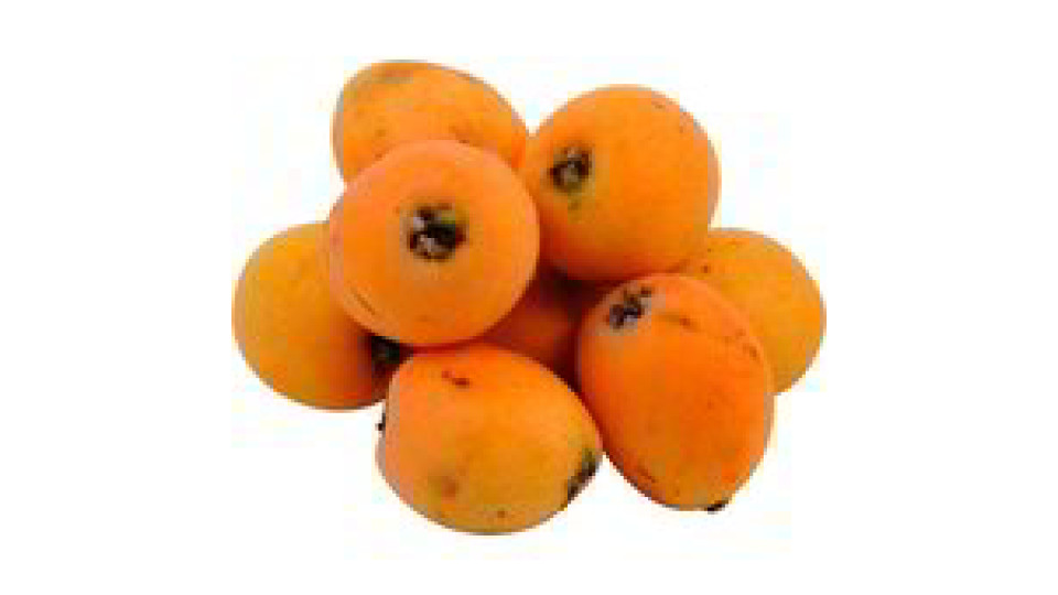 Nespole