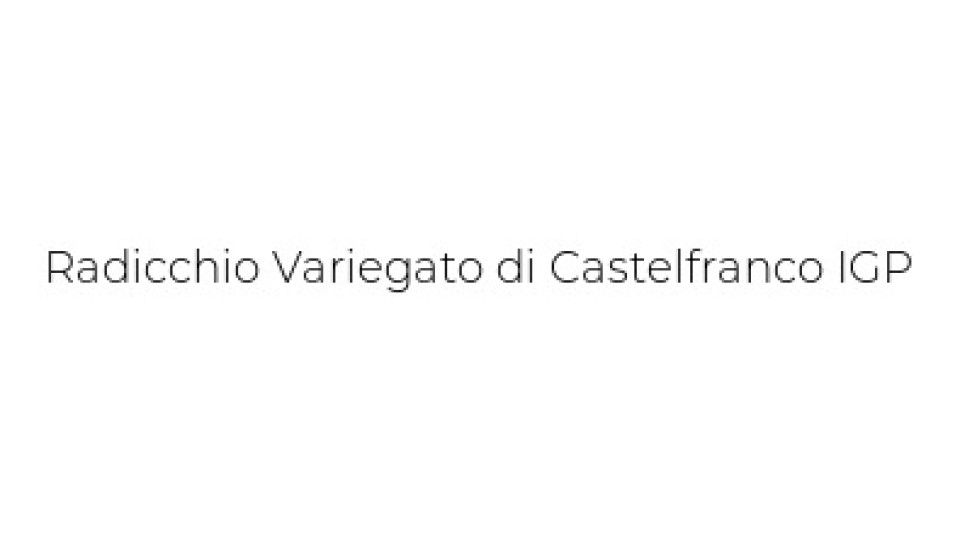 Insalata Al "radicchio Variegato Di Castelfranco I.g.p."