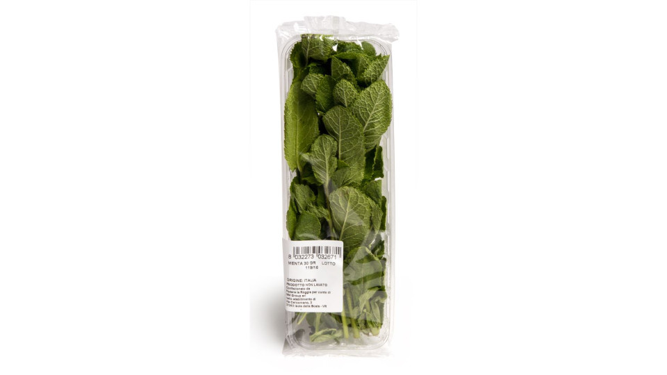 Menta in vaschetta