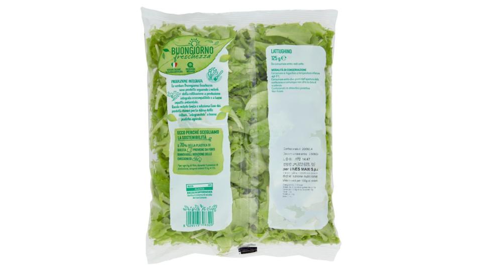 Lattughino