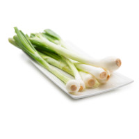 Cipollotto Bianco