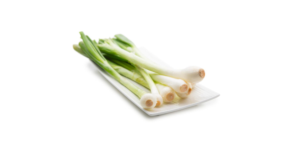 Cipollotto Bianco