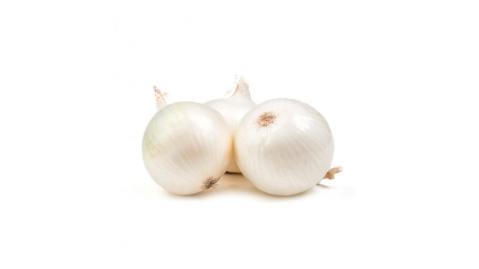 CIPOLLA BIANCA