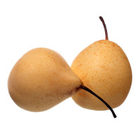 PERE NASHI