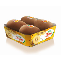 Kiwi Sungold 4 Fr