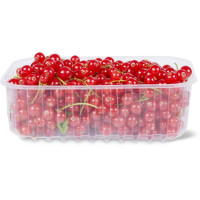 Ribes Rosso
