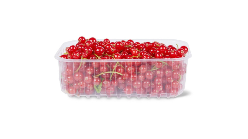 Ribes Rosso