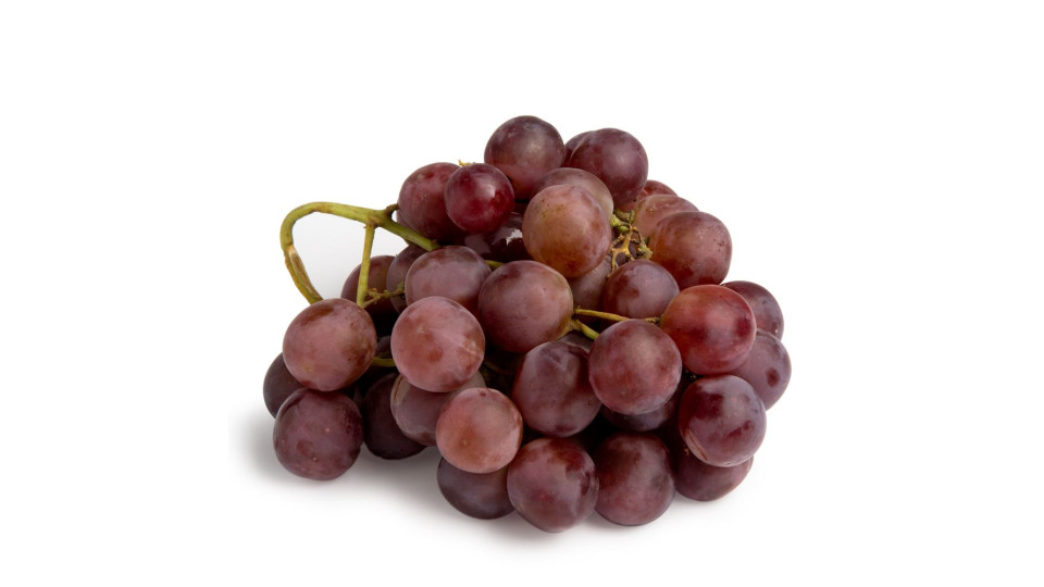 UVA RED GLOBE