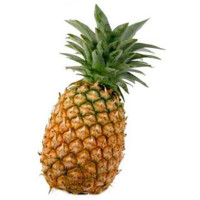 Ananas