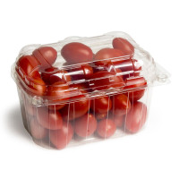 Pomodoro Datterino Italia  