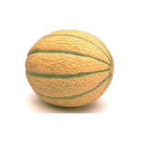 MELONE RETATO