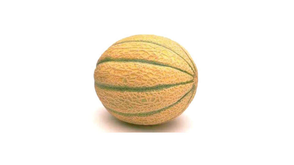 Melone Retato