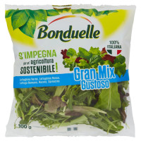 Bonduelle Gran Mix Gustoso