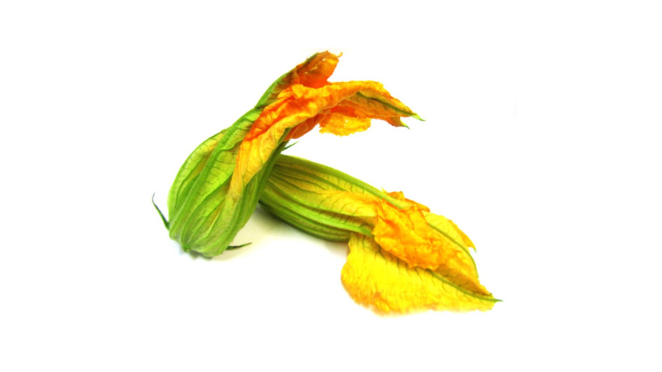 Fiori di Zucchina 100 g