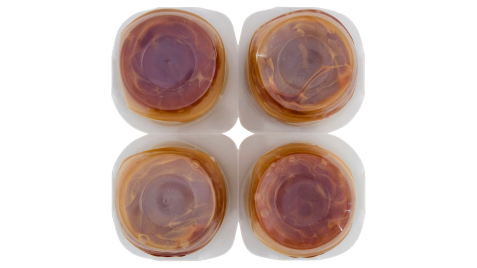 Danette Crema Dessert Creme Caramel