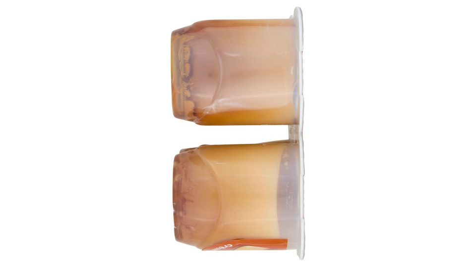 Danette Crema Dessert Creme Caramel