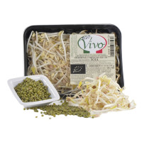Germogli Di Soia Bio confezionati